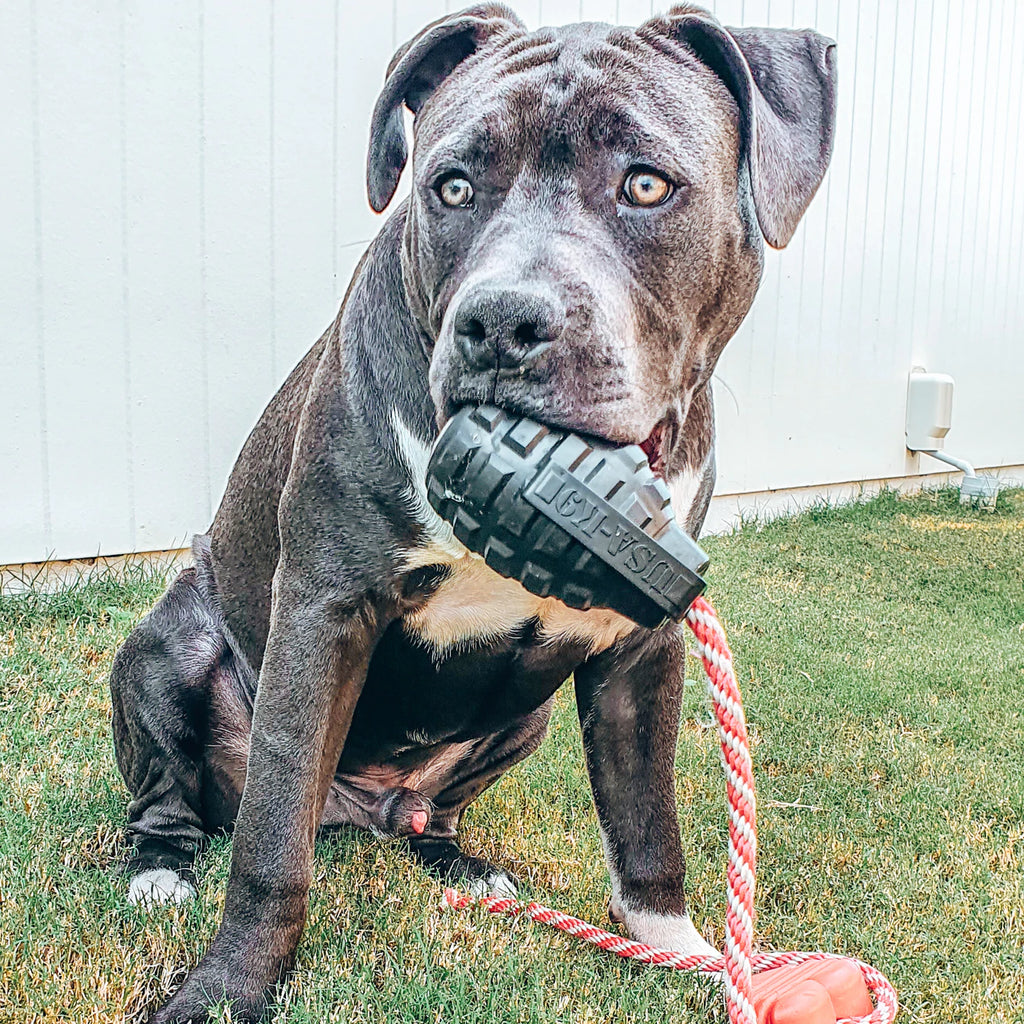 Magnum Grenade Reward Toy (Power Chewers)