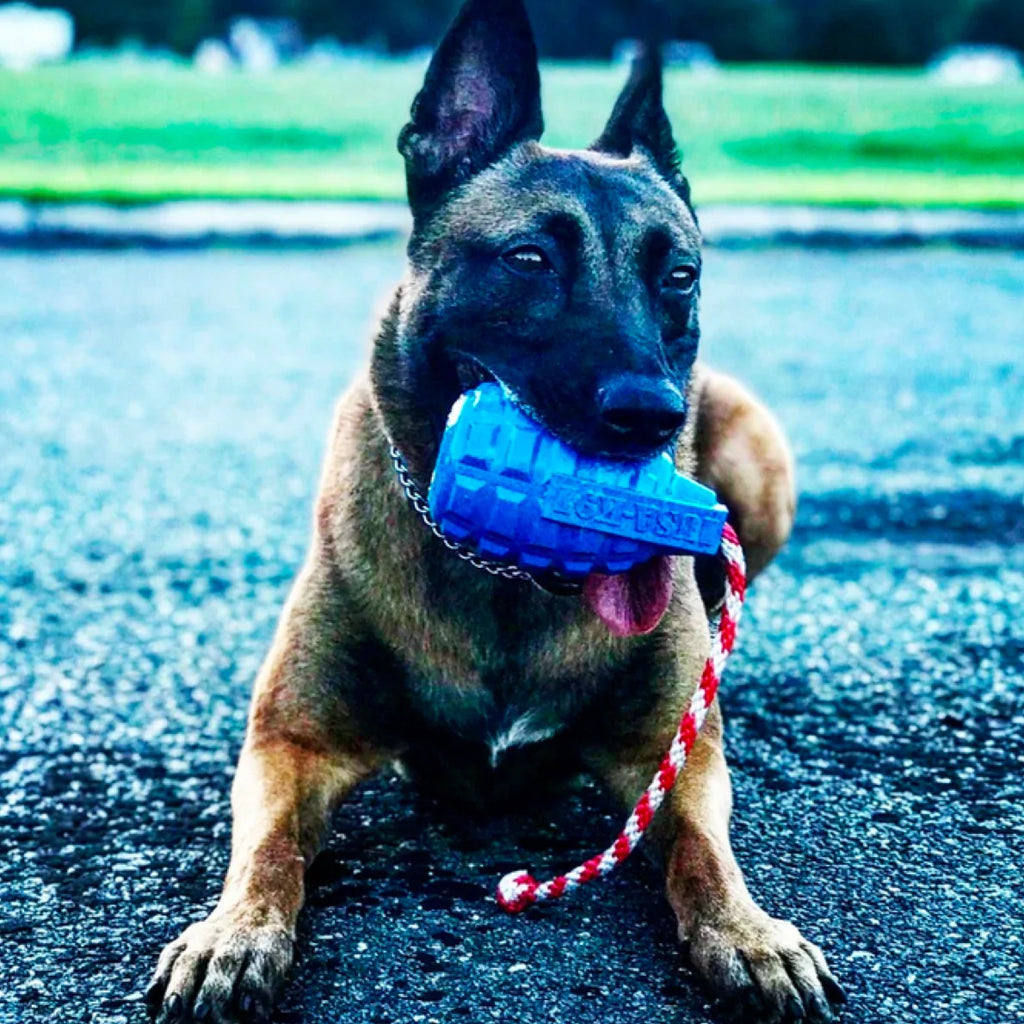 Grenade Reward Toy (with rope)
