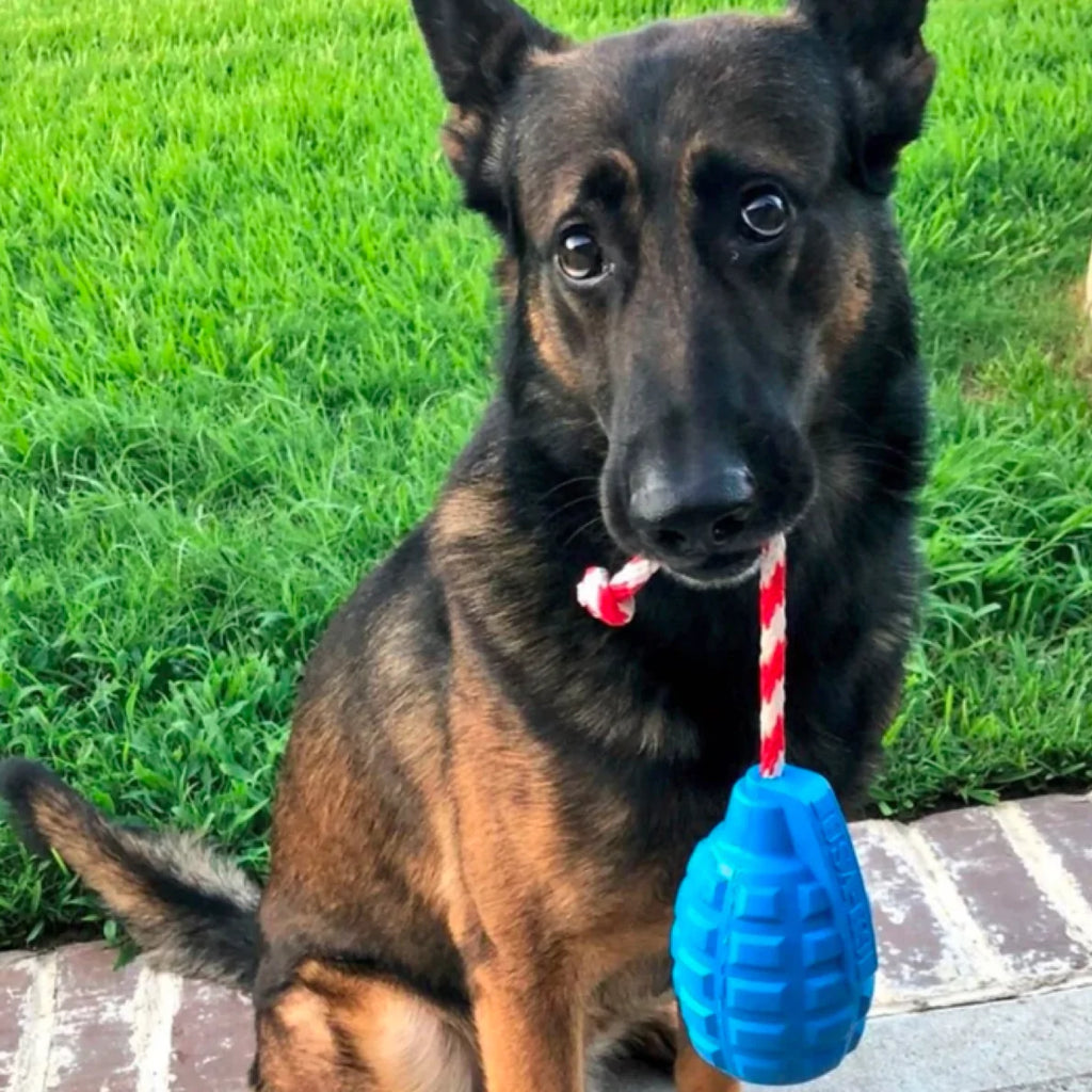 Grenade Reward Toy (with rope)