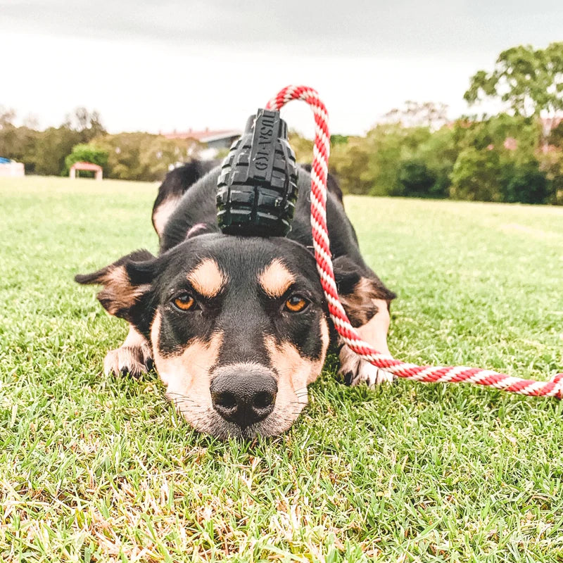 Magnum Grenade Reward Toy (Power Chewers)