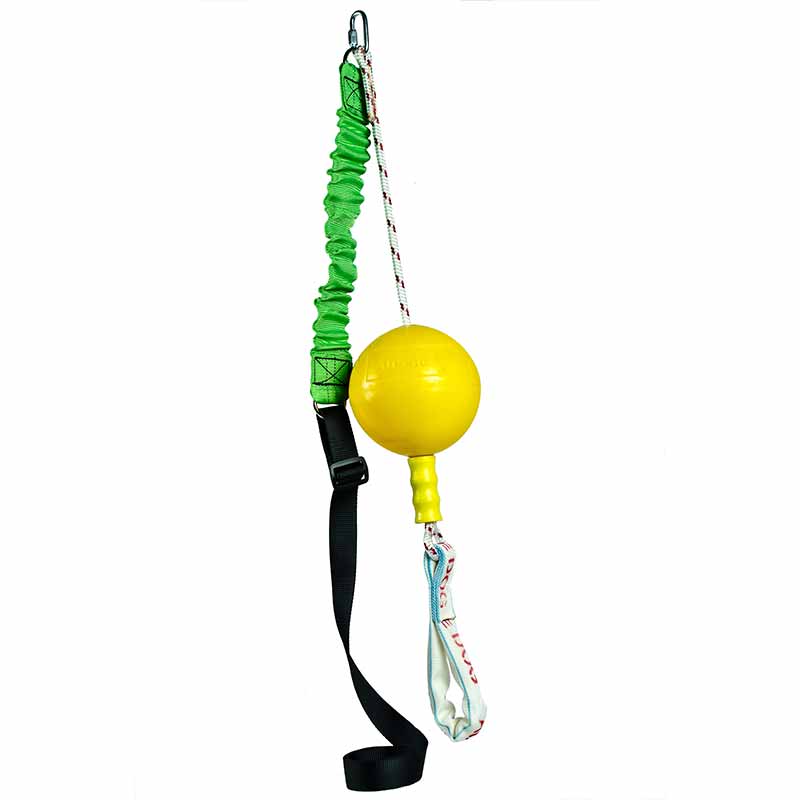 Aussie Dog - Home Alone Bungee Ball